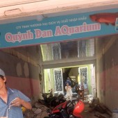 **CHO THUÊ NHÀ NGUYÊN CĂN MẶT TIỀN TẠI QUẬN BÌNH TÂN - TP HỒ CHÍ MINH