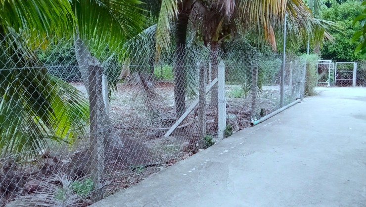 Mặt tiền An Sơn 32, 500m² thổ cư 100m².
Đường xe tải ra vào, địa điểm đông dân ở, gần biệt thự.