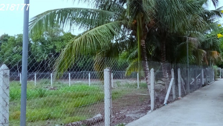 Mặt tiền An Sơn 32, 500m² thổ cư 100m².
Đường xe tải ra vào, vị trí đông dân sinh sống, gần khu biệt thự.