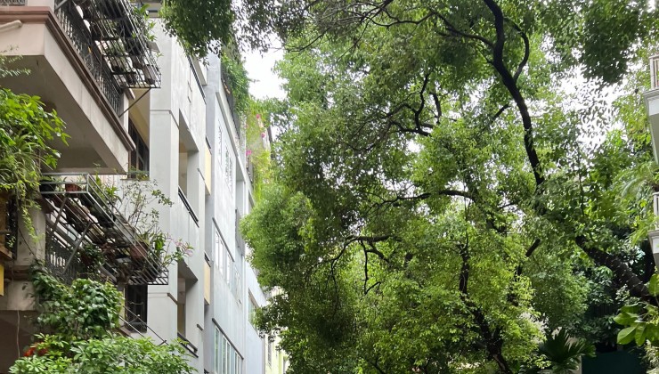 CẦN BÁN NHÀ GIẢNG VÕ 
DT: 59M 4T 5.8MT