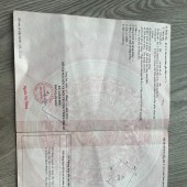 CHÍNH CHỦ Bán Gấp Đất CLN Tại Xã Thạnh Lợi, Huyện Bến Lức, Long An