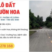 Bán Lô Đất Nhìn Vườn Hoa Tại Đồng Quán, phường Võ Cường thành phố Bắc Ninh
MIỄN QUẢNG CÁO