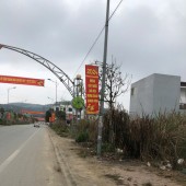 Chính Chủ Cần Bán Đất Thổ Cư Tại Chợ đầu mối, Thị Trấn Rừng Thông, Huyện Đông Sơn, Thanh Hóa