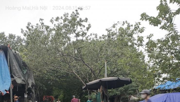 Mặt phố Kim Mã Thượng tập thể 27m/55m, Tầng 1, mặt tiền 3.3m, 5.2 tỷ Ba Đình.
+ 21/9/2024 cần bán gấp hạ chào 800 triệu, giá chào mới 5.2 tỷ.