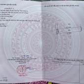 Sở Hữu Ngay Đất Thổ Cư Vị Trí Đẹp Tại Xã Quê Mỹ Thạnh, Tân Trụ, Long An