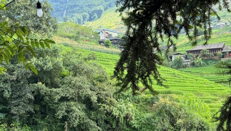Sở hữu ngay mảnh đất nền săn mây Y Tý chỉ với 2 tỷ