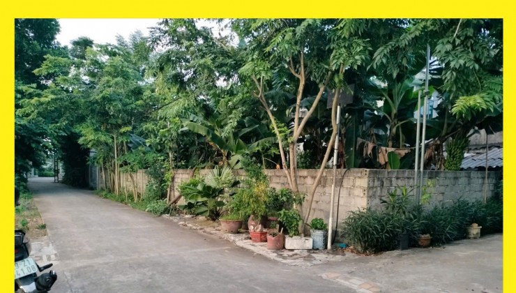 Cách đường 6 chỉ 500m giá chỉ 1 tỉ mua ngay kẻo lỡ
Diện tích 41,4m Đông Phương Yên
