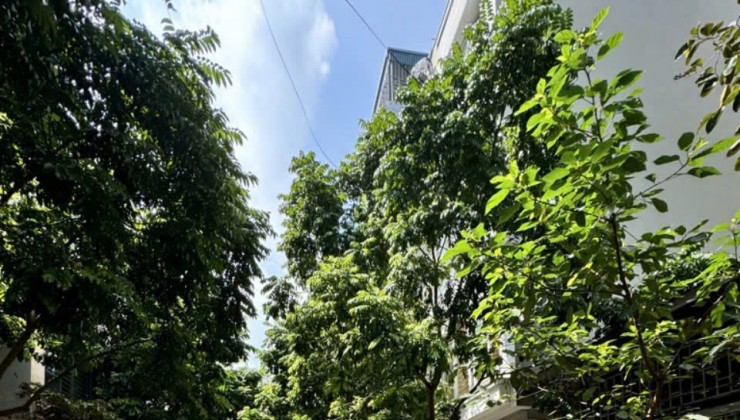 PHÂN LÔ - Ô TÔ TRÁNH - VỈA HÈ - KINH DOANH - HIẾM - TIỆN ÍCH BẠT NGÀN. - Nhà 5 tầng, dt 50m, mt4m. 11,9 tỷ khu đìa lão – mậu lương – kiến hưng.