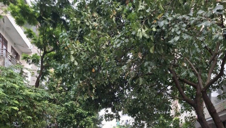 PHÂN LÔ - Ô TÔ TRÁNH - VỈA HÈ - KINH DOANH - HIẾM - TIỆN ÍCH BẠT NGÀN. 
 Diện tích 60m2, MT 5m, tài chính 15.1 tỷ - Kiến Hưng Hà Đông