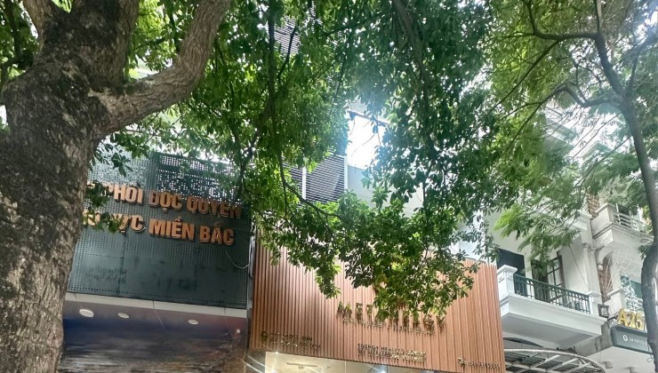 Đầu Phố Hàng Bún 9 Tầng Mặt Tiền 6M 63 Tỷ Ở + CHO THUÊ DT ỔN ĐỊNH  Vỉa Hè 6M