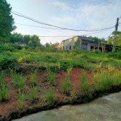 BÁN LÔ ĐẤT GIÁ RẺ Ở THỊ XÃ QUẢNG TRỊ - QUẢNG TRỊ