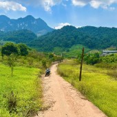 Bán Đất 700m² Tại Mộc Châu – Vị Trí Đẹp, Gần Thác Dải Yếm, Thích Hợp Kinh Doanh Homestay & Coffee