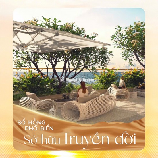 Chính thức mở booking căn hộ chung cư tuyệt tác ven biển Simona Heights Quy Nhơn