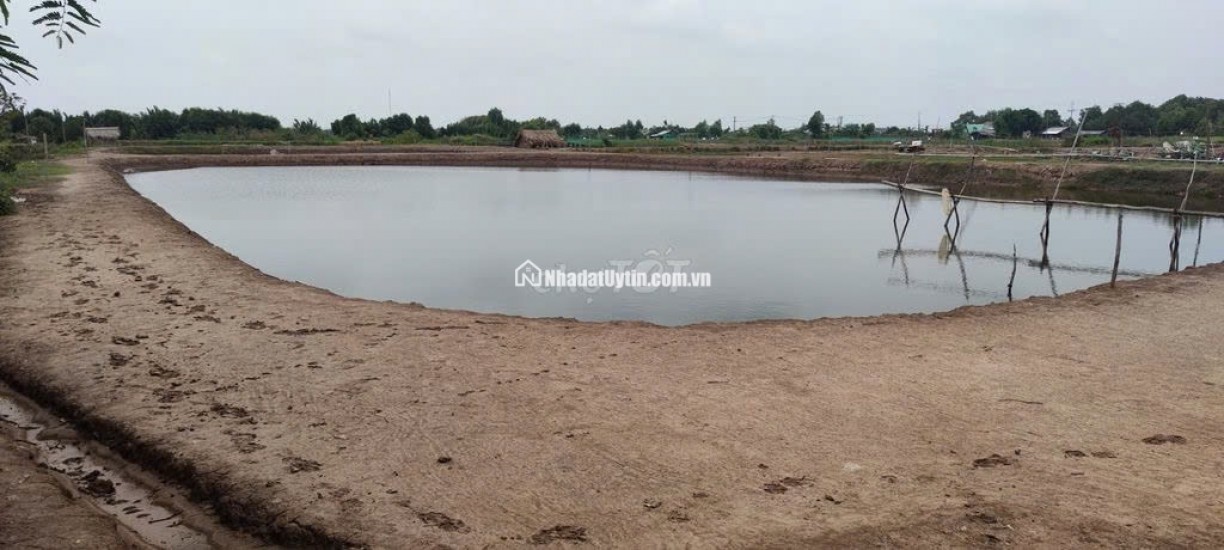 Bán đất đầm nuôi thuỷ sản tại Thới Thuận , Bình Đại, Bến Tre