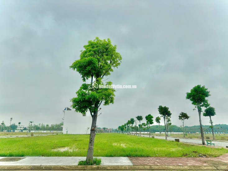Alana City: Dự Án Kết nối Tương Lai Tại Cao Tốc HCM - TD1 Chơn Thành