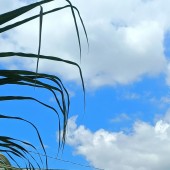 Mua ngay nhà phố tại Cần Giuộc, Long An – Giá hợp lý