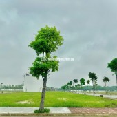 Alana City: Dự Án Kết nối Tương Lai Tại Cao Tốc HCM - TD1 Chơn Thành