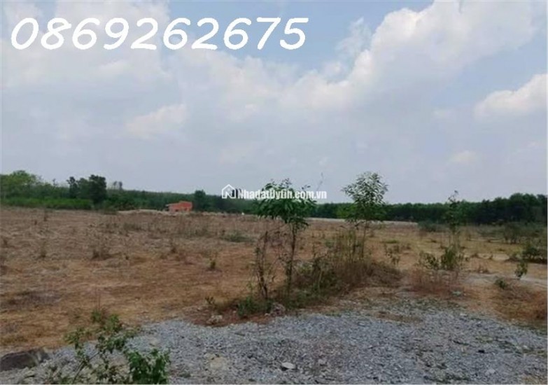CHO THUÊ ĐẤT SKC 39.000M BÌNH DƯƠNG MẶT TIỀN ĐƯỜNG DT GIÁ 200 TRIỆU