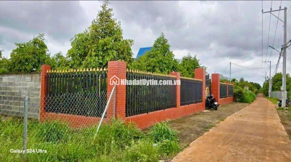 C SANG MỸ ĐỊNH CƯ KHÔNG AI CHĂM VƯỜN NÊN CẦN NHƯỢNG LẠI VƯỜN SẦU RIÊNG HIỆN TẠI CÓ 300 CÂY SẦU RIÊNG ĐÃ CHO TRÁI VÀ NHÀ TRÊN ĐẤT