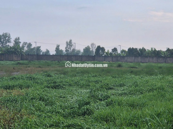 Bán đất siêu đẹp Mặt tiền đường Nguyễn Thị Đăng, Huyện Củ chi - Đất đầu tư Huyện Củ Chi