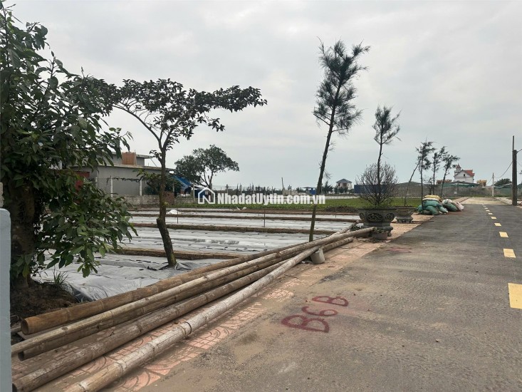 Đất nền Quất Lâm Nam Định