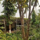 Cho thuê đất kèm nhà xưởng, 200m2, 300m2, 500m2, An Dương, Yên Phụ, Tây  Hồ.