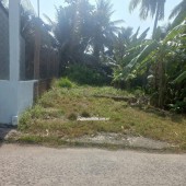 Bán đất Bến Tre 101m có thổ cư đường ô tô