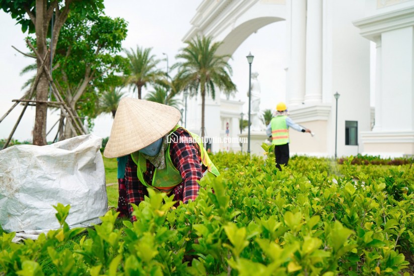 đất nền giá tốt tại agora city - khu đô thị trung tâm hành chính thương mại thủ thừa