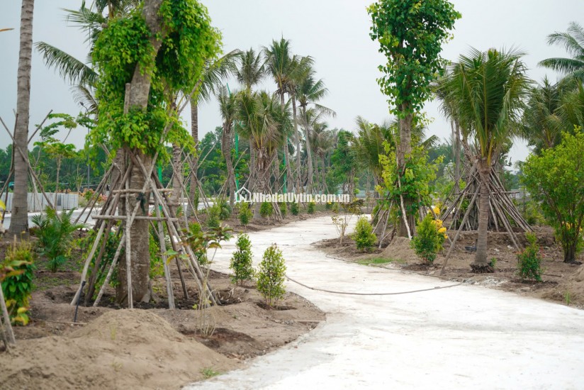 đất nền giá tốt tại agora city - khu đô thị trung tâm hành chính thương mại thủ thừa