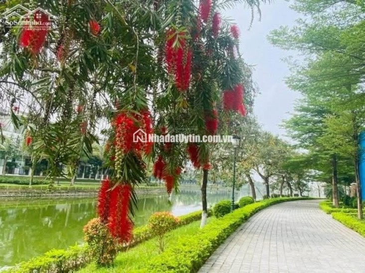 BÁN BIỆT THỰ- NHÀ VƯỜN VISTALAGO – SỐNG THƯỢNG LƯU ĐỘC QUYỀN GIỮA “TRÁI TIM” TÂY HÀ NỘI  GIÁ 3X TỶ