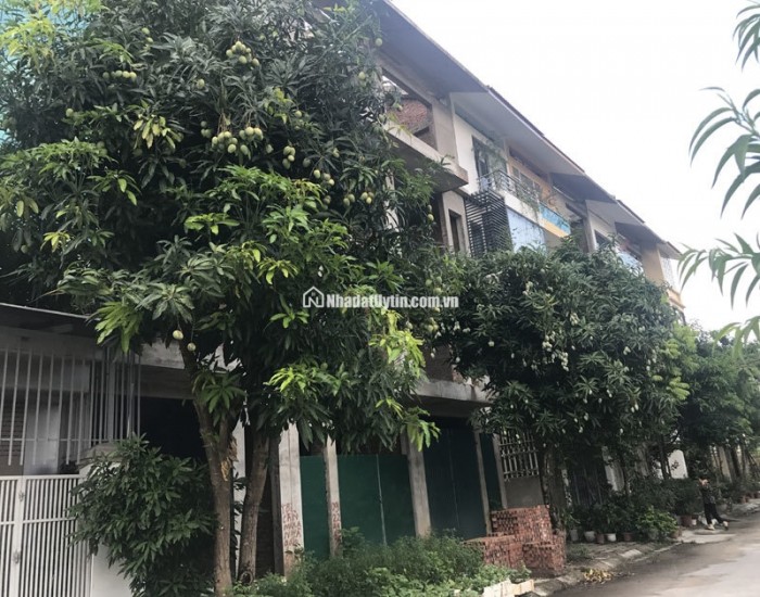 Chính chủ kẹt tiền cần ra gấp nhà Quận 8 , 242m2, thương lượng sâu