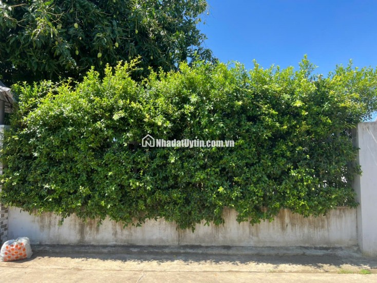 bán nhà đẹp sân vườn võ cạnh, xã Vĩnh Trung, tp Nha Trang dt 228m2, giá bán 3 tỷ liên hệ PHạm đức hải