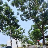 Bán đất thổ cư 90m2 Võ Văn Đồng, Ngũ Hành Sơn, Đà Nẵng - 4.3 tỷ