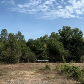 CHÍNH CHỦ CẦN BÁN TẠI: Phước Thạnh - Gò Dầu - Tây Ninh