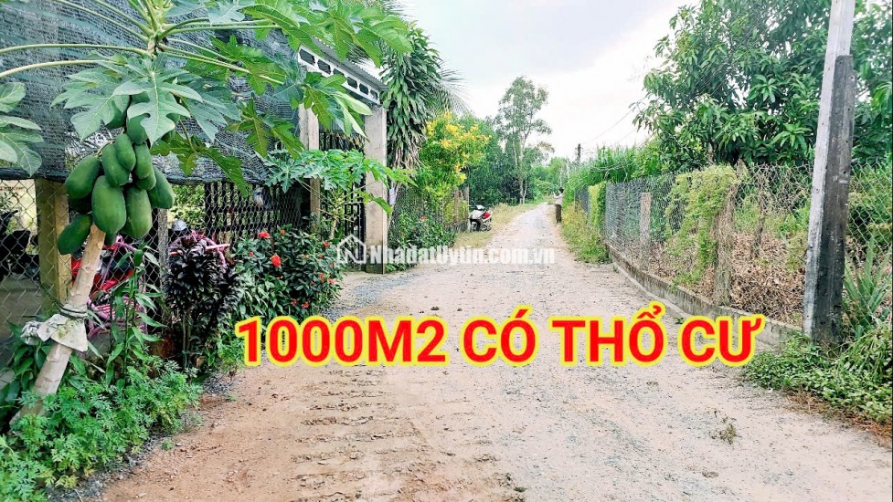 280 Triệu sang Tên 1000m2 có Thổ Cư, Gần DT 818, mỗi tháng trả thêm 3 triệu