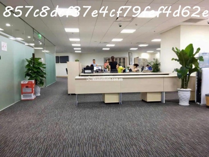 AI Bán nhà 228m² Lý Thường Kiệt, Tân Bình, 90 tỷ, sổ đỏ