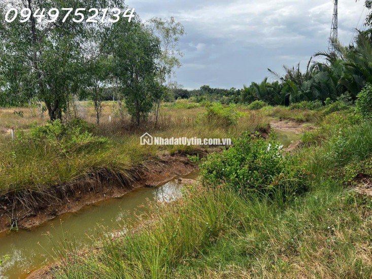Mặt tiền đường Nguyễn Văn Tạo, Nhà Bè.
Tổng diện tích gần 2 ha.
Giá bán 30 tr/m2