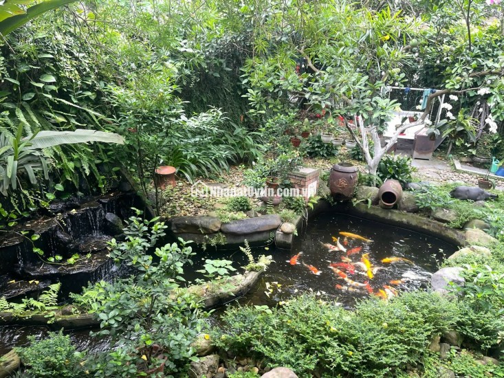  BÁN BIỆT THỰ SÂN VƯỜN NGỌC THỤY – TRUNG TÂM LONG BIÊN 
 Diện tích đất: 378m² – Diện tích sử dụng: 428m²
 Mặt tiền rộng: 11m – 2 mặt ngõ