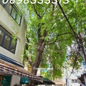 Chính chủ bán nhà 29/19 Bùi Thị Xuân, P2, Quận Tân Bình 2,1 tỷ, 3 tầng hẻm xe hơi sạch sẽ,