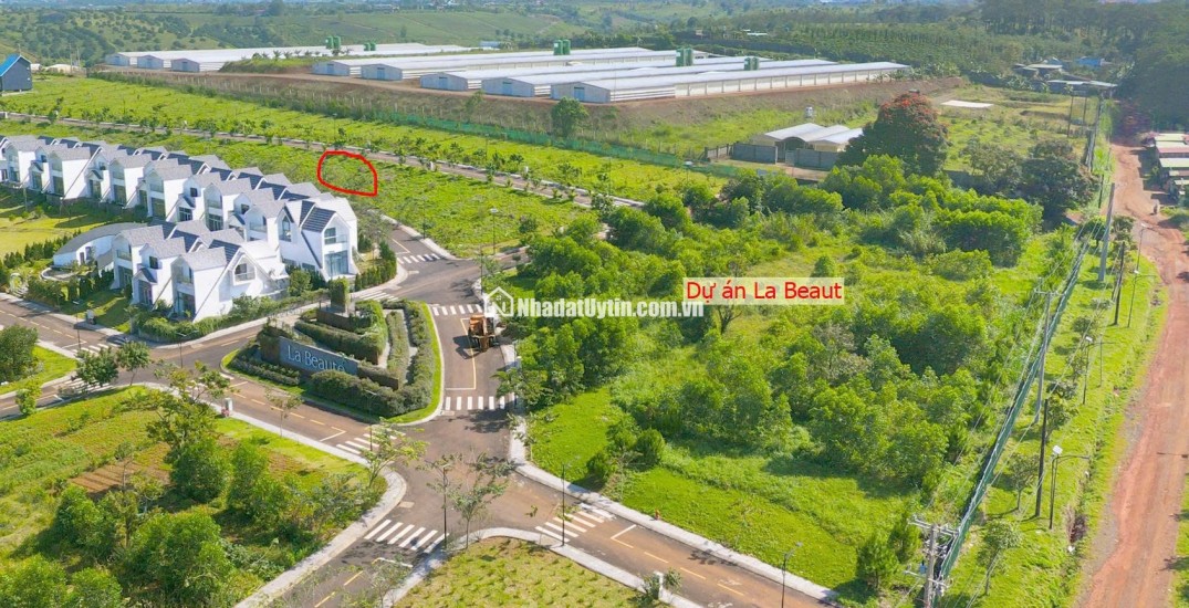 Đất nền biệt thự đồi Bảo Lộc 166,2m² – vị trí chiến lược, giá tốt hiếm có 9.3 triệu/m², sinh lời dài hạn