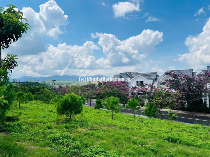Siêu phẩm 3.414 m² đất đồi biệt thự mặt tiền Lý Thái Tổ (28m) – giá chỉ 15 triệu/m², gần cao tốc Dầu Giây – Liên Khương!