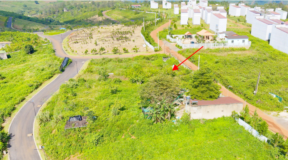 Siêu phẩm 3.414 m² đất đồi biệt thự mặt tiền Lý Thái Tổ (28m) – giá chỉ 15 triệu/m², gần cao tốc Dầu Giây – Liên Khương!