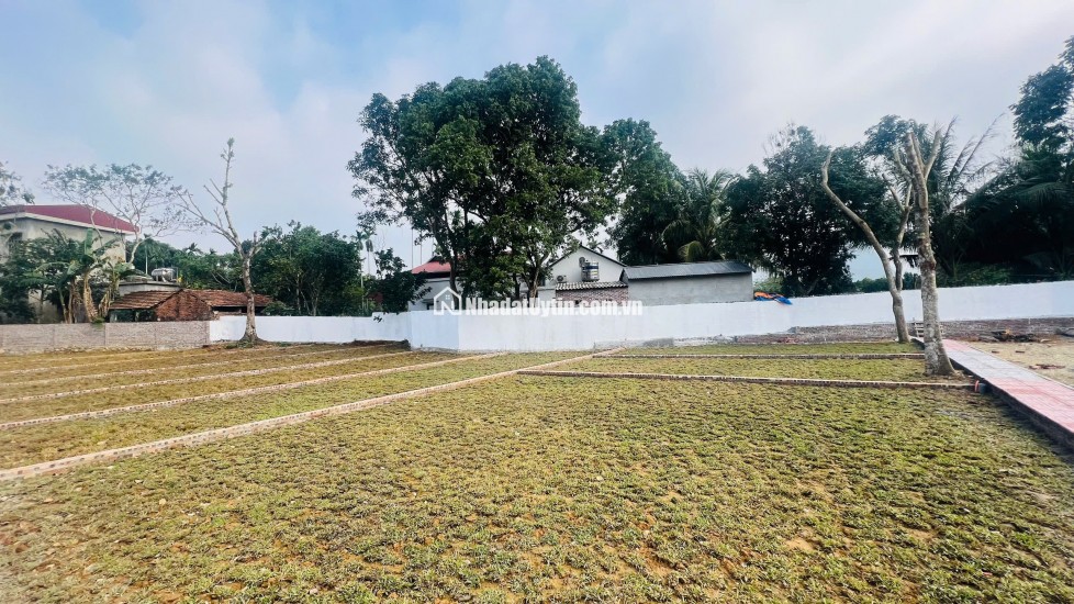  Hơn 300tr Sở Hữu Đất Kim Bôi, Hoà Bình – Vị Trí Đẹp, Pháp Lý Chuẩn