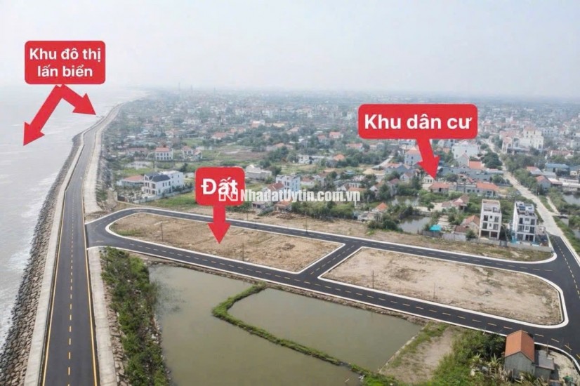 Quất Lâm vào sóng – Sở hữu đất ngay trước khi giá bật tăng!