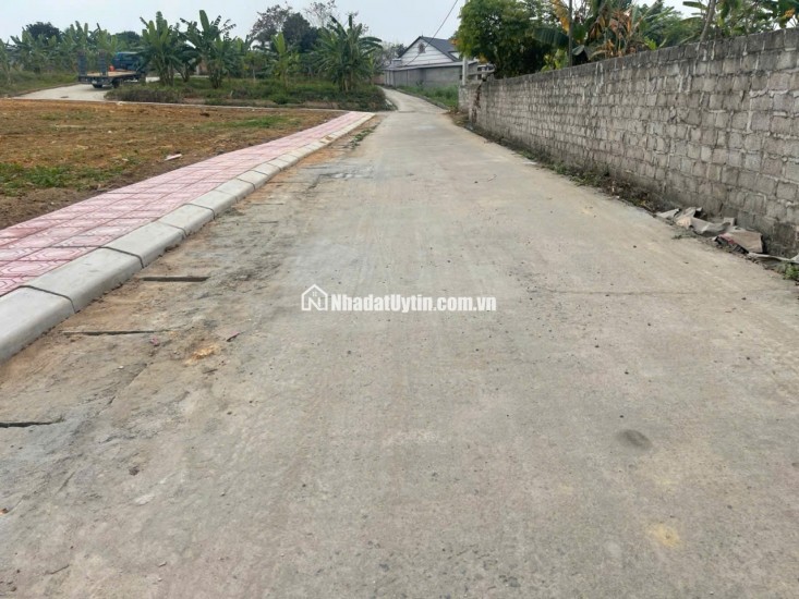 Bán Đất Thôn Cổng Sau, Hướng Đạo, khu công nghiệp Tam Dương 1, Vĩnh Phúc 100m, 800 triệu, xây nhà trọ, nhà ở.
