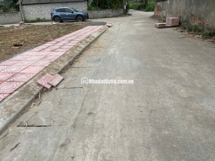 Bán Đất Thôn Cổng Sau, Hướng Đạo, khu công nghiệp Tam Dương 1, Vĩnh Phúc 100m, 800 triệu, xây nhà trọ, nhà ở.