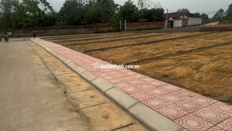 Bán Đất Thôn Cổng Sau, Hướng Đạo, khu công nghiệp Tam Dương 1, Vĩnh Phúc 100m, 800 triệu, xây nhà trọ, nhà ở.