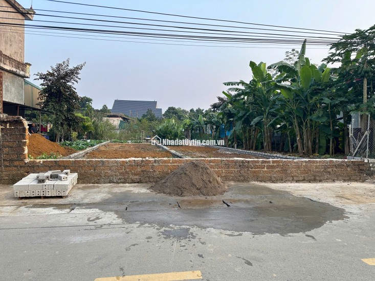 Bán gấp đất thổ cư 100m2, 3.5 tỷ, sổ đỏ, Sơn Tây - Cổ Đông.