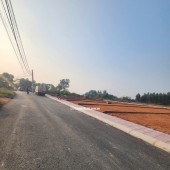 Bán Đất Thôn Cổng Sau, Hướng Đạo, khu công nghiệp Tam Dương 1, Vĩnh Phúc 100m, 800 triệu, xây nhà trọ, nhà ở.