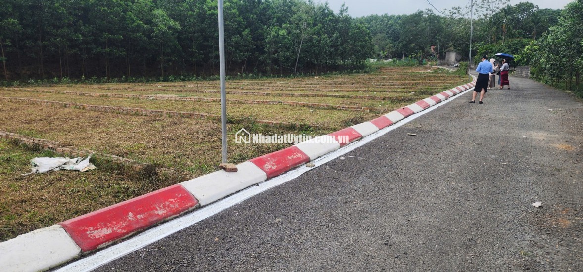  Quỹ đất vùng ven GIÁ RẺ: Chỉ 215 triệu sở hữu ngay lô đất gần 100m2 pháp lý an toàn:
